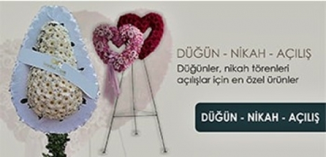 Açılışa Düğüne